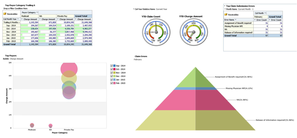 screenshot of BlueStrata EHR
